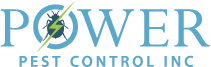 Pest Control Toronto - Blog